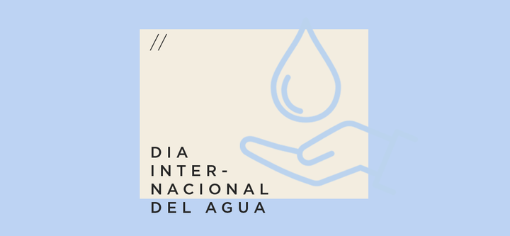 Día Internacional del Agua: ¿cuándo y por qué se celebra?